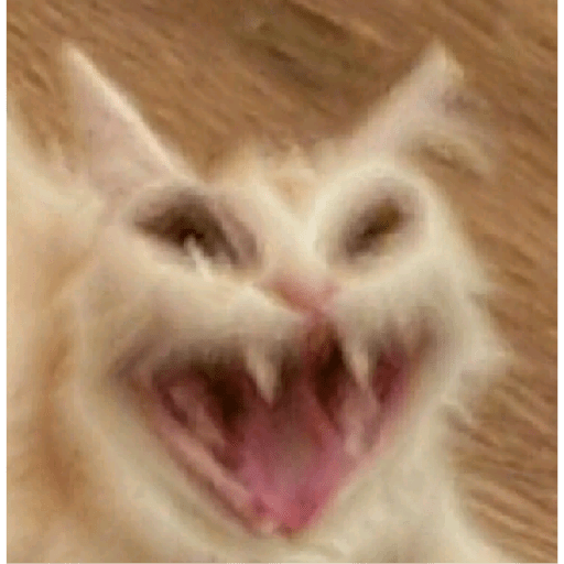 Random meme 2 19