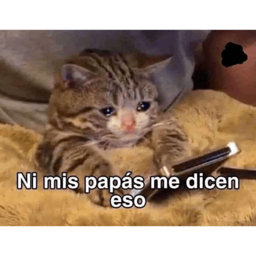 Memess lleve sus memeeeessss 7