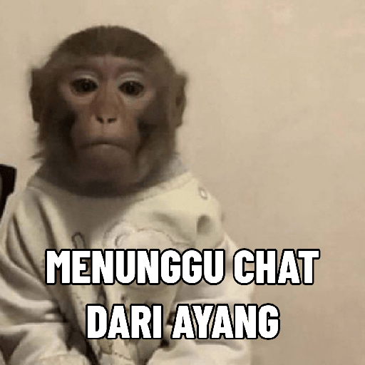 Monyet 1