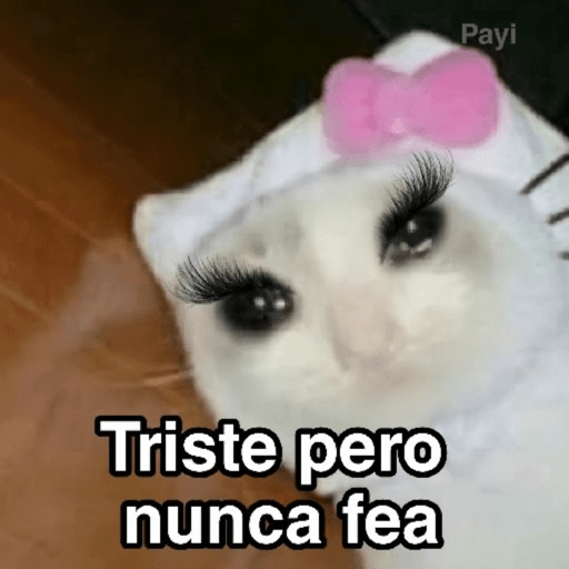 Hola💗 13