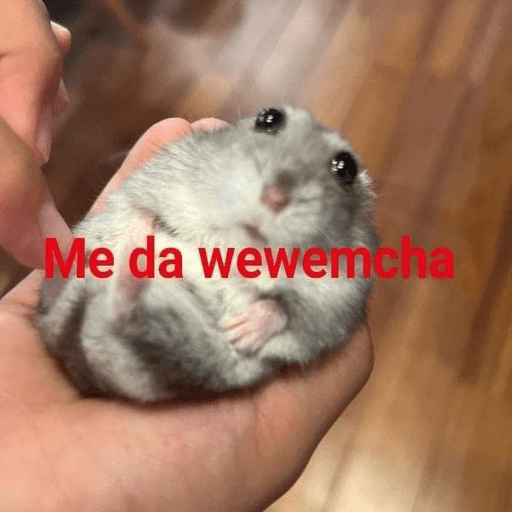 Animalitos 6