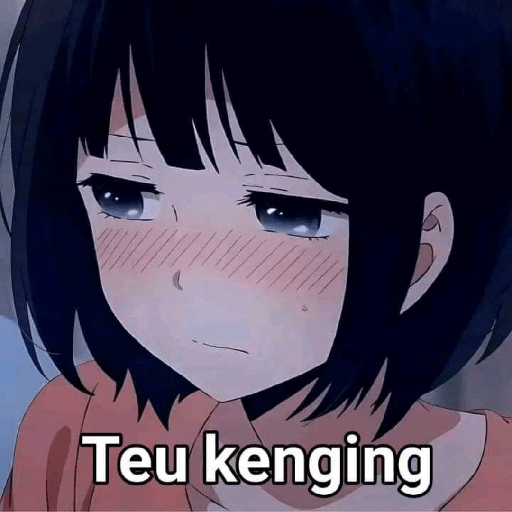 Meme facebook 12