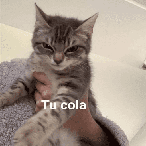 Animalitos 1
