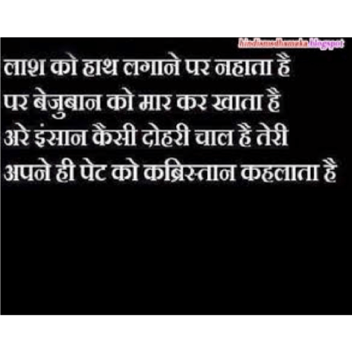 Shayaris 17