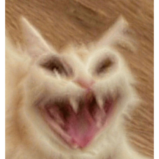 Kucing 1 10
