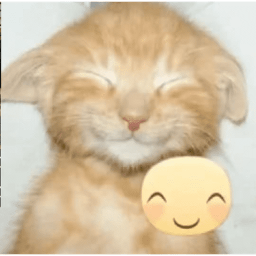 Animais 3