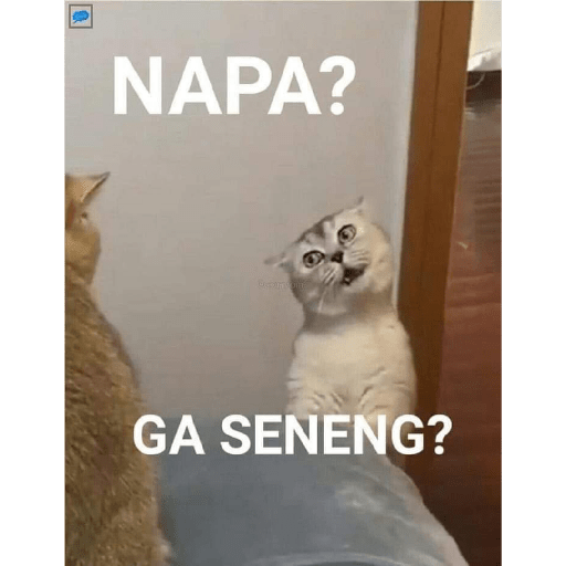Meme facebook 21