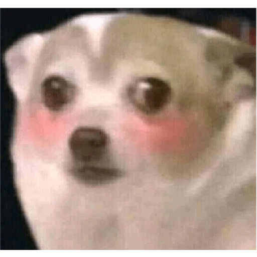 Chile wtf 26