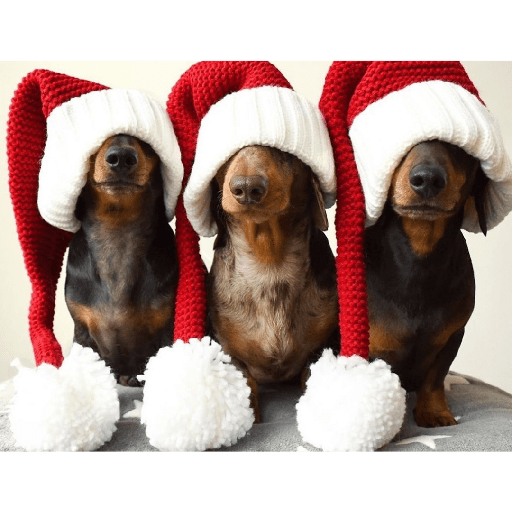 Navidad🎄 5