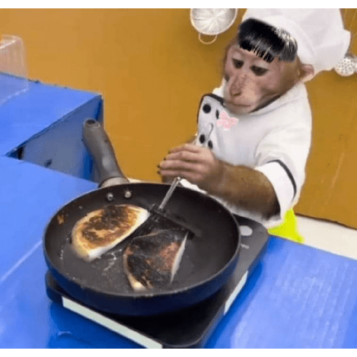 Changos 4 7