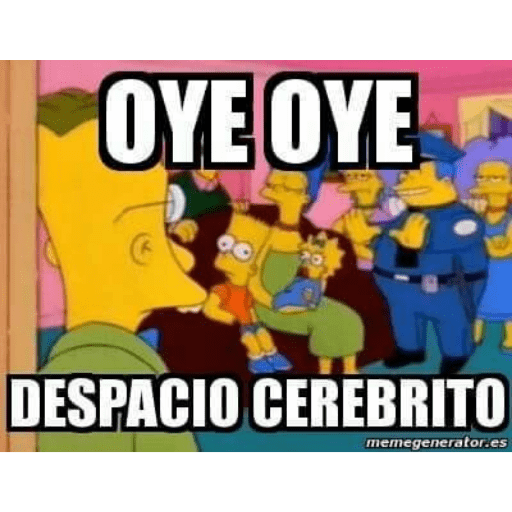 Los Simpson IV 7