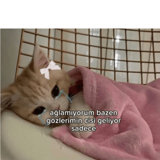 Mood 10