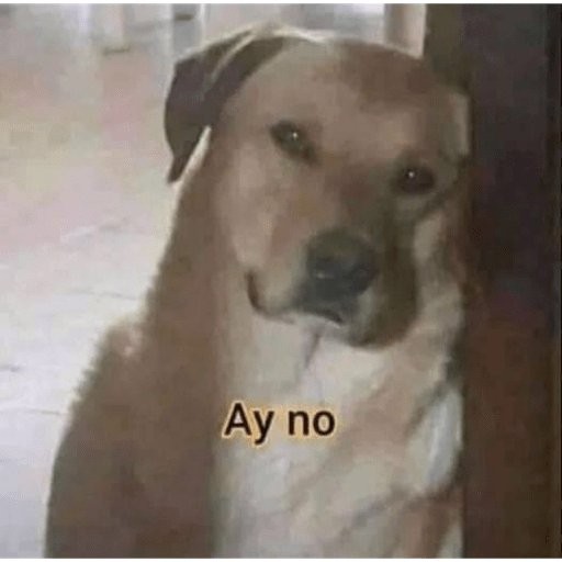 Amor hot 4
