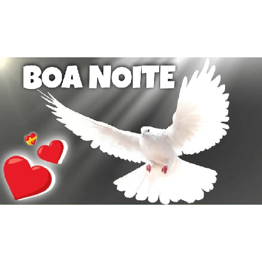 BOA NOITE 2