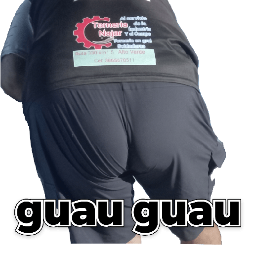 Changos 5