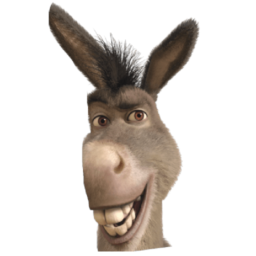 Burro 3