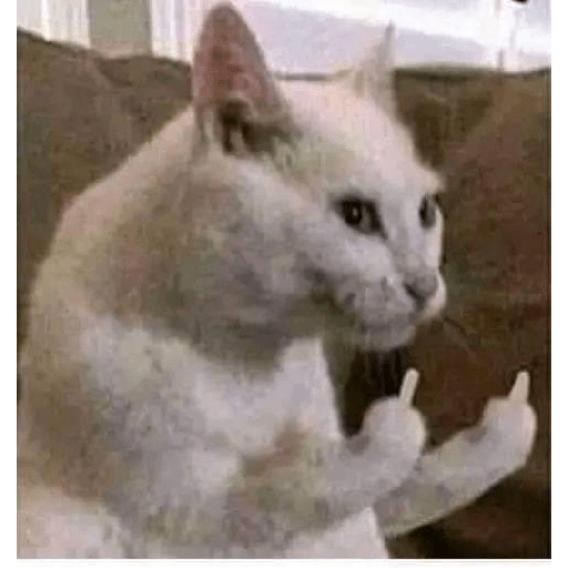 Meme facebook 25