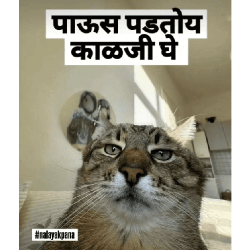 Funny marathi stickers 3