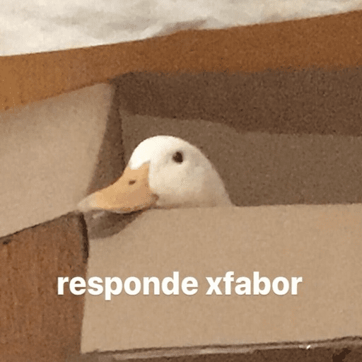 Animalitos 4