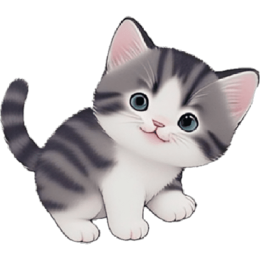 Gatos Chiqui 🤓 9