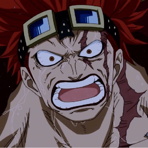 Eustass kid 25
