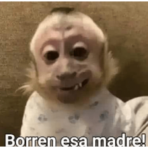 Anuel AA 5
