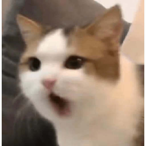 Random1 16