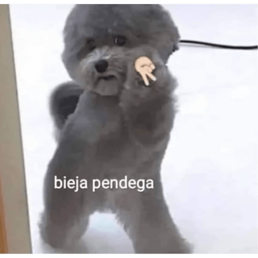 Argie rosalía  8