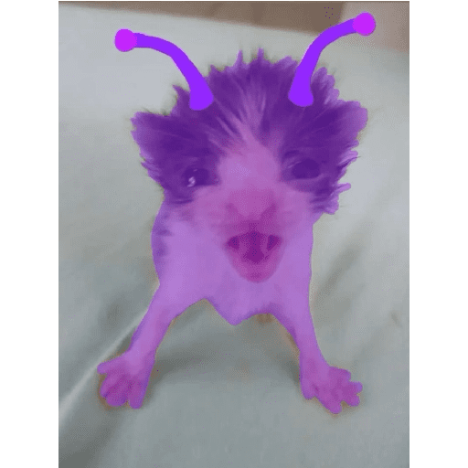 Lucu 9