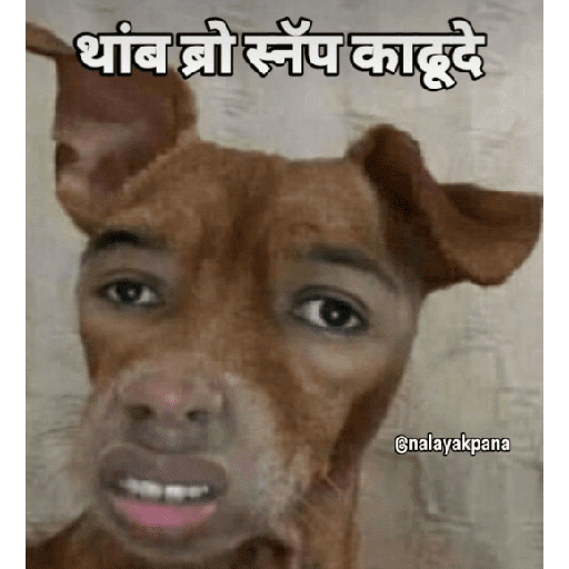 Funny marathi stickers 4