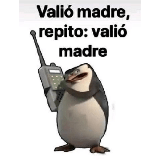 Momos Nova  29