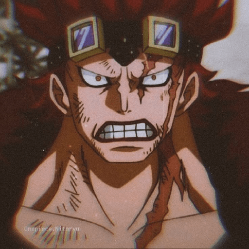Eustass kid 27