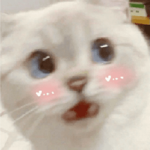 Gatitos 2 3