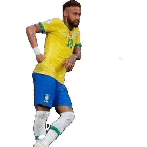 Burro 5