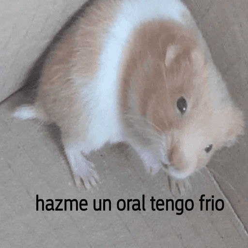 Animalitos 2
