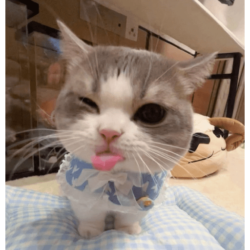 Lucu 17