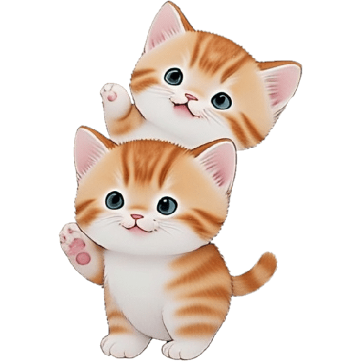 Gatos Chiqui 🤓 13