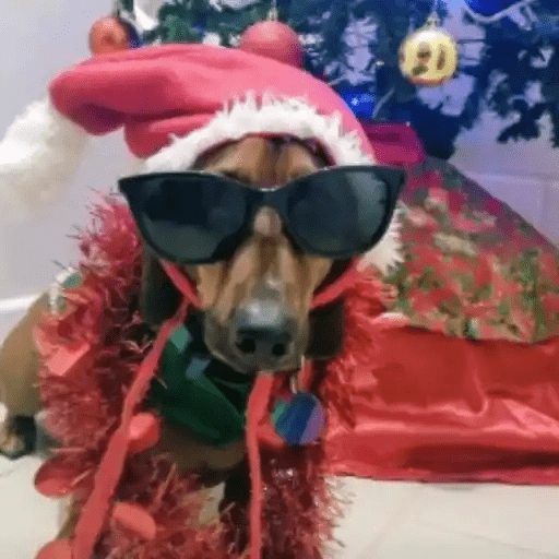 🎅🏻Reacciones Navideñas🎄 22