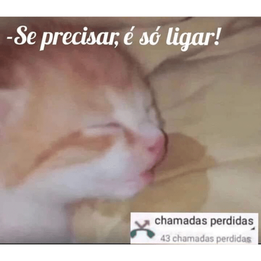 Reação puro deboche  1