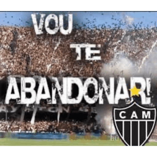 Macaco cidadão  6