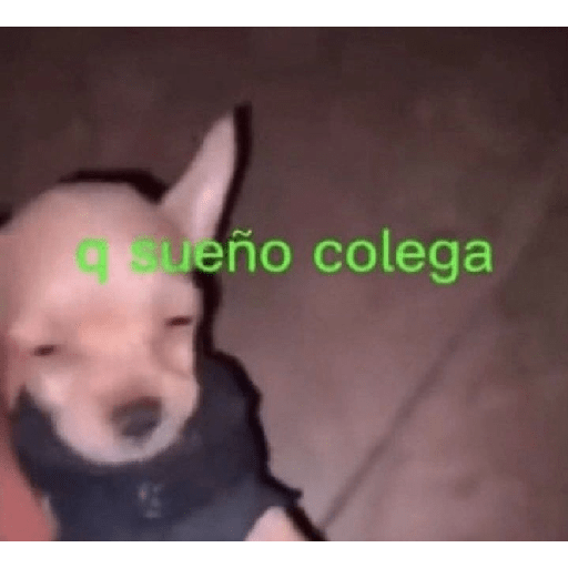  bueno 15