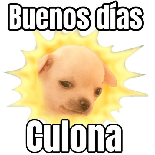 Buenas buenas  2
