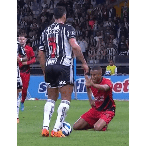 Macaco cidadão  5