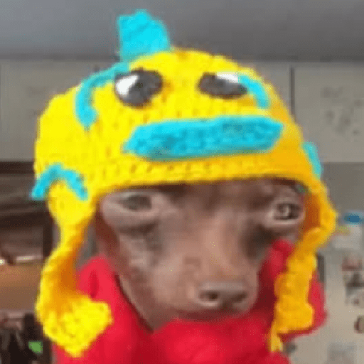 Frio e preguiça 6