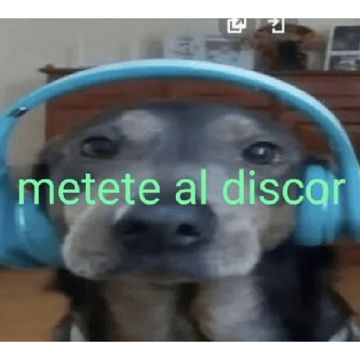  bueno 14