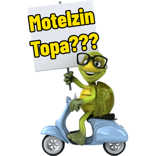 Frases curtas  7