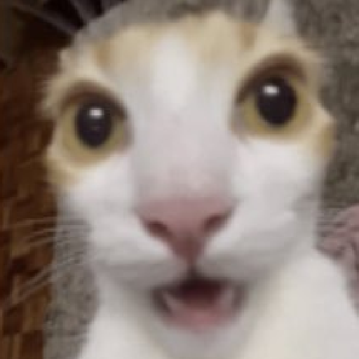Lol 1