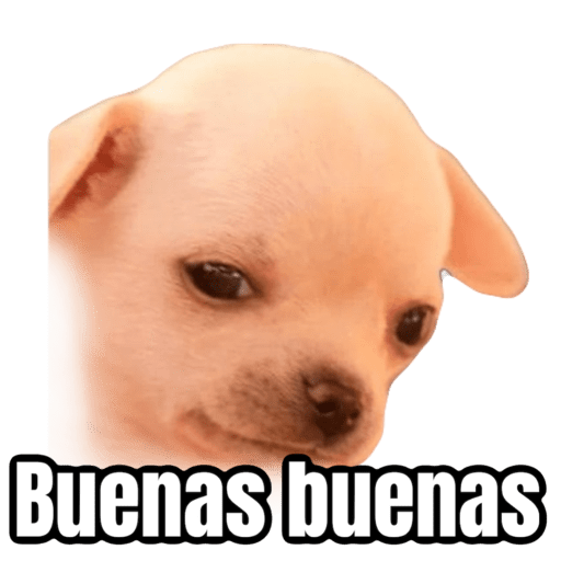 Buenas buenas  9