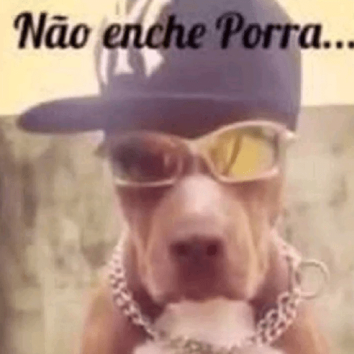 Memes em alta tiktok + aura 15