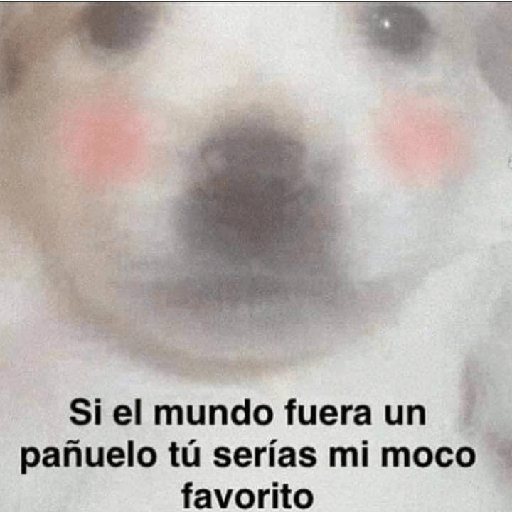 Amorcito 1 14